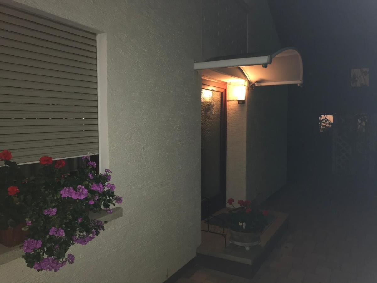 Ferienwohnung Heidelberg Ze-2020-7-Wz المظهر الخارجي الصورة